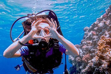 dive3