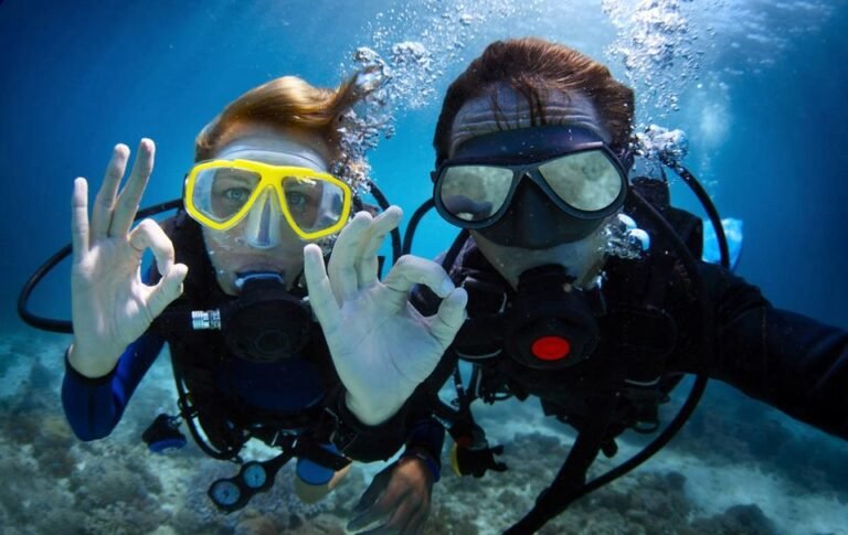 dive4