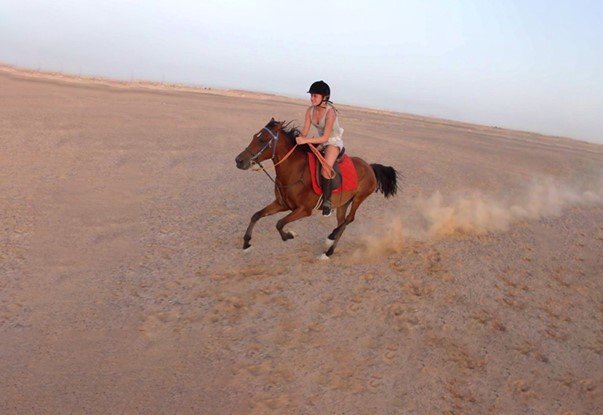 horse4