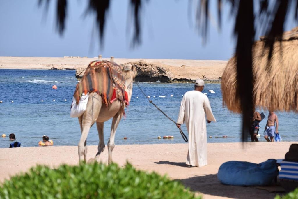 Mini Egypt Park