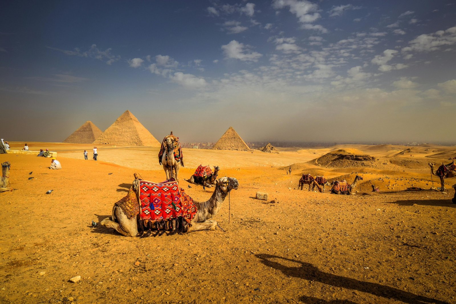 Captivating view of camels resting with the iconic pyramids in the Egyptian desert.